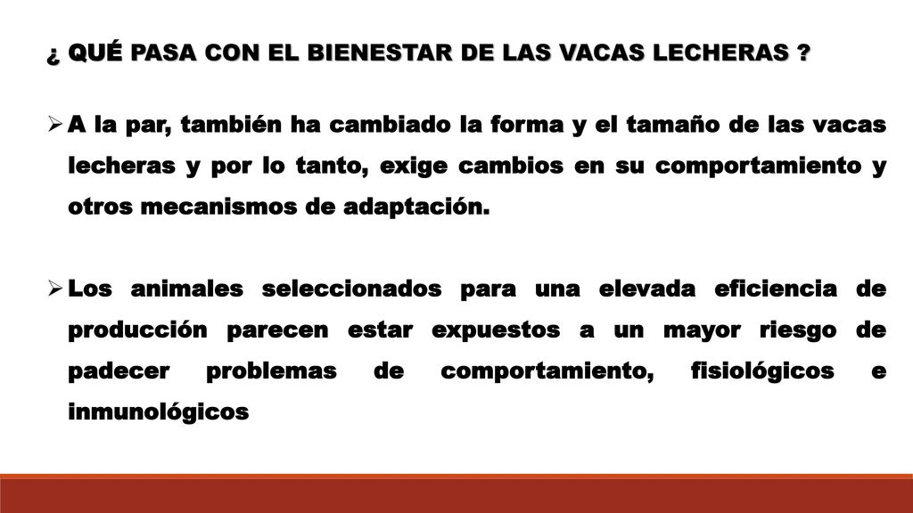 ¿ QUÉ PASA CON EL BIENESTAR DE LAS VACAS LECHERAS