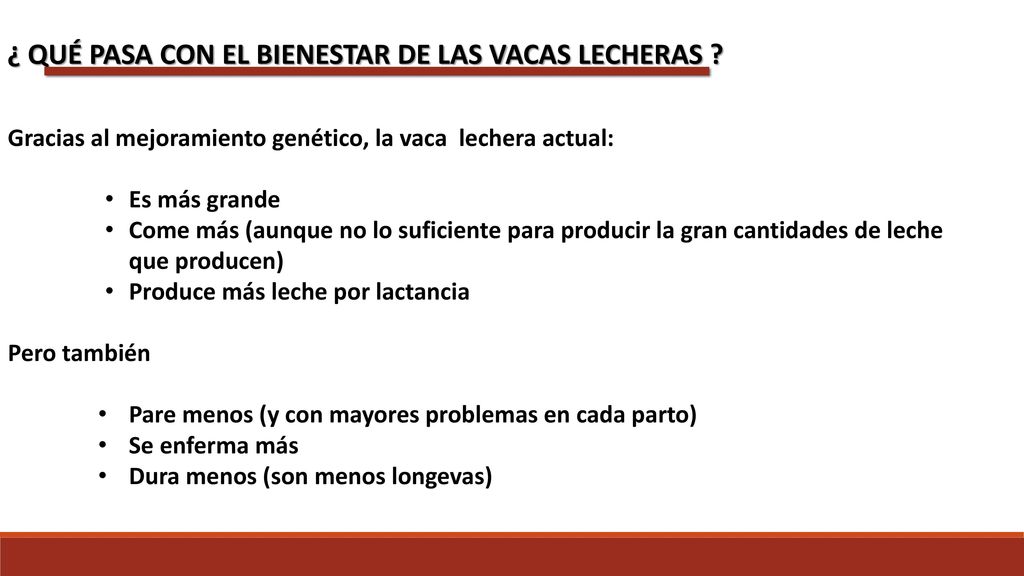 ¿ QUÉ PASA CON EL BIENESTAR DE LAS VACAS LECHERAS