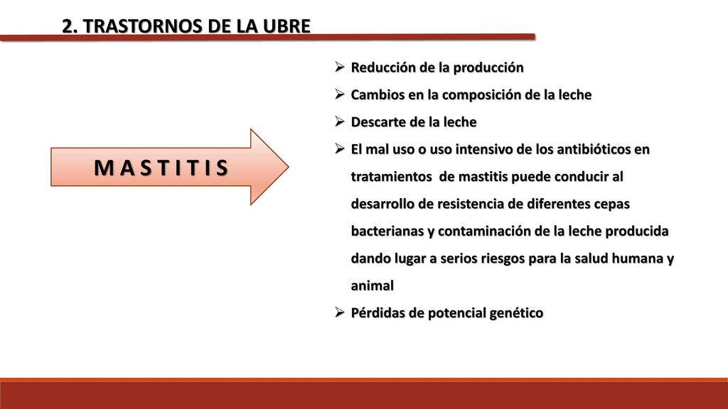 M A S T I T I S 2. TRASTORNOS DE LA UBRE Reducción de la producción
