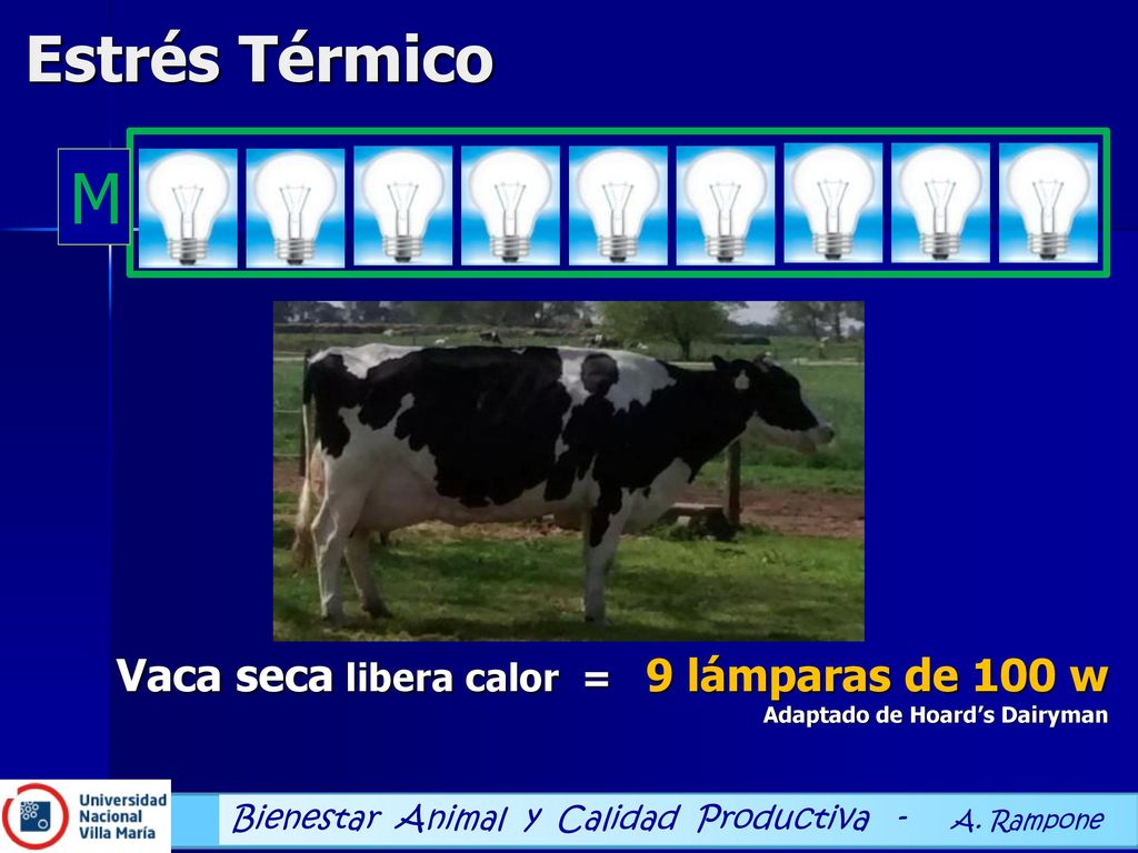 Estrés Térmico Una persona cuando duerme libera calor equivalente a 1 lámpara de 100 watts. Adaptado de Hoard’s Dairyman.