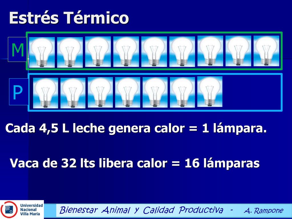 Estrés Térmico M. Vaca seca libera calor = 9 lámparas de 100 w Adaptado de Hoard’s Dairyman.
