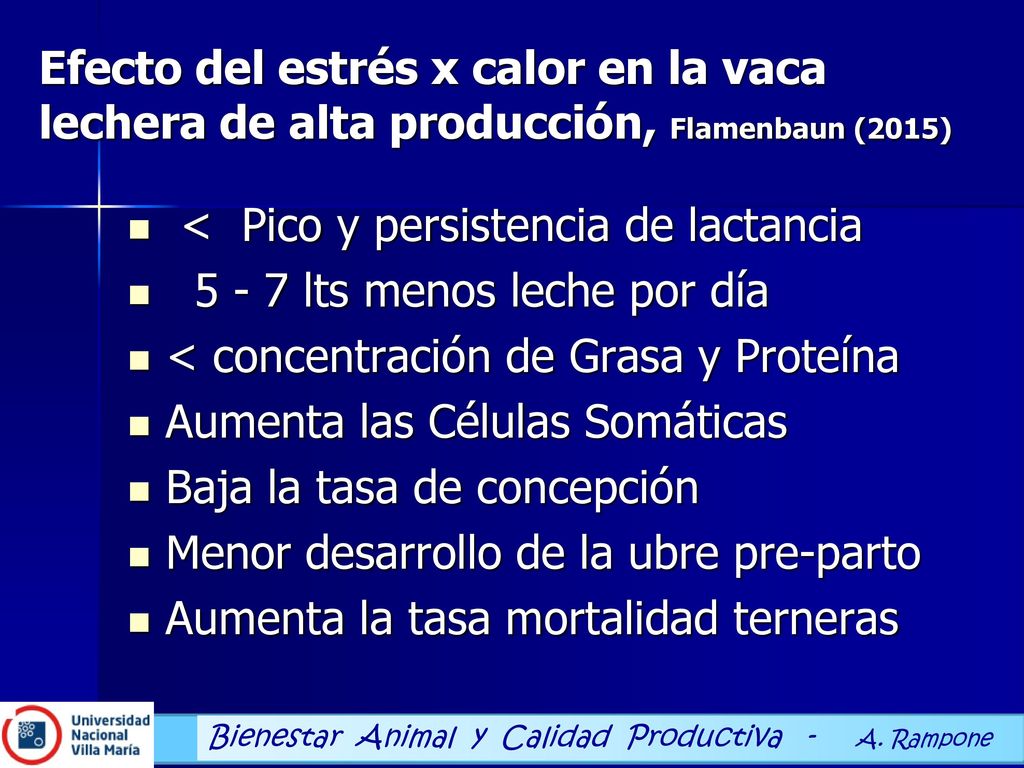 Estrés calórico es la causa que mas perdida de dinero le produce al sector lechero mundial,