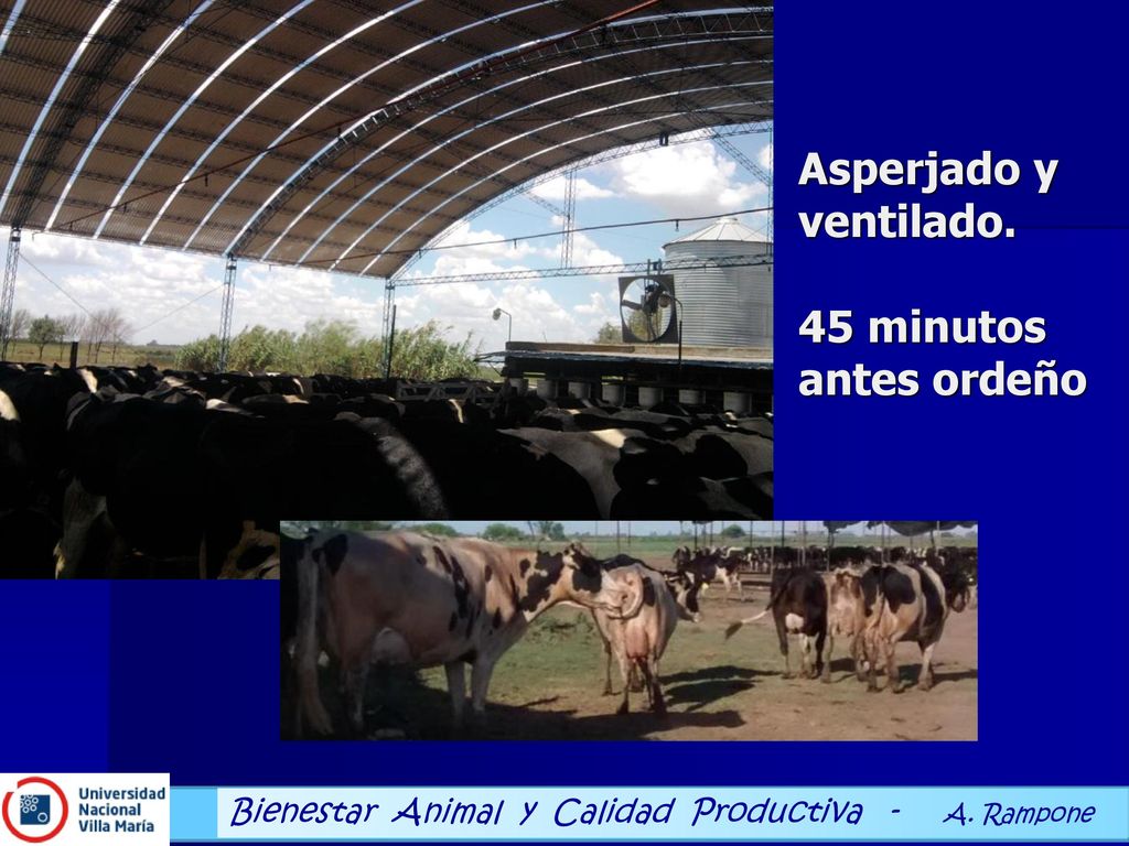 Bienestar Animal y Calidad Productiva - A. Rampone