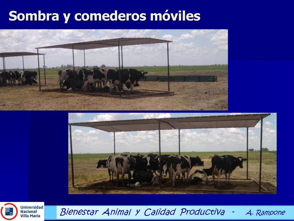 Distres  Cortisol corta los ejes funcionales del organismo