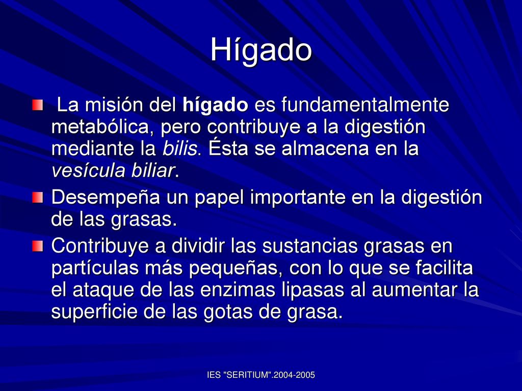 Hígado La misión del hígado es fundamentalmente metabólica, pero contribuye a la digestión mediante la bilis. Ésta se almacena en la vesícula biliar.