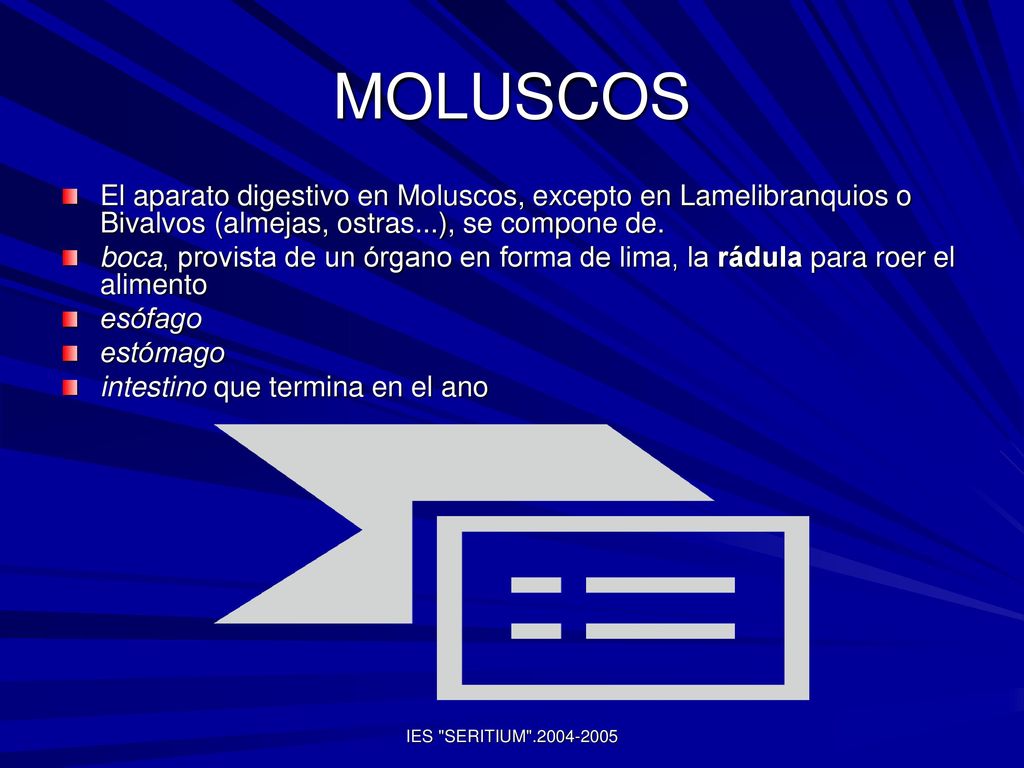 MOLUSCOS El aparato digestivo en Moluscos, excepto en Lamelibranquios o Bivalvos (almejas, ostras...), se compone de.