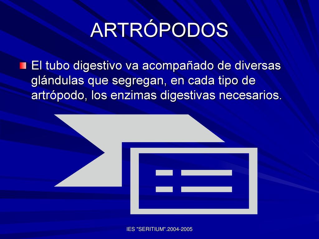 ARTRÓPODOS El tubo digestivo va acompañado de diversas glándulas que segregan, en cada tipo de artrópodo, los enzimas digestivas necesarios.