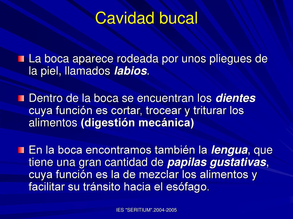 Cavidad bucal La boca aparece rodeada por unos pliegues de la piel, llamados labios.