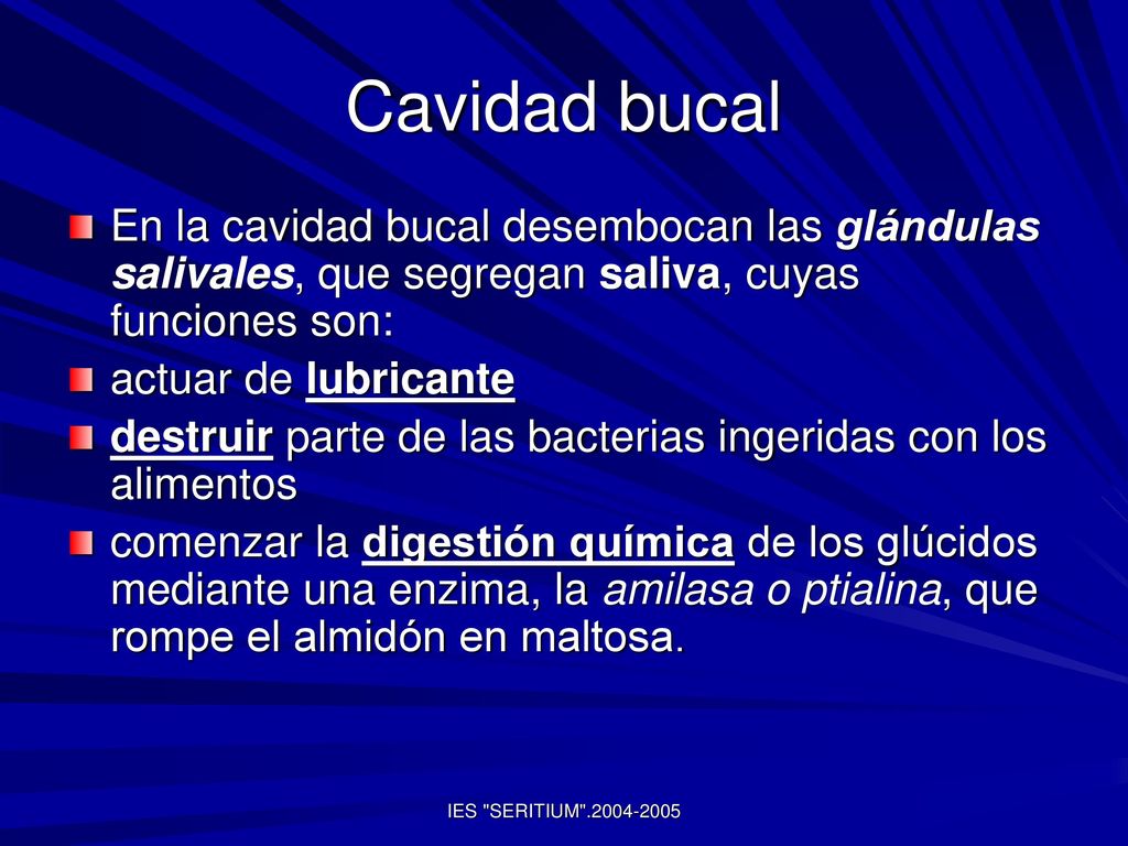 Cavidad bucal En la cavidad bucal desembocan las glándulas salivales, que segregan saliva, cuyas funciones son: