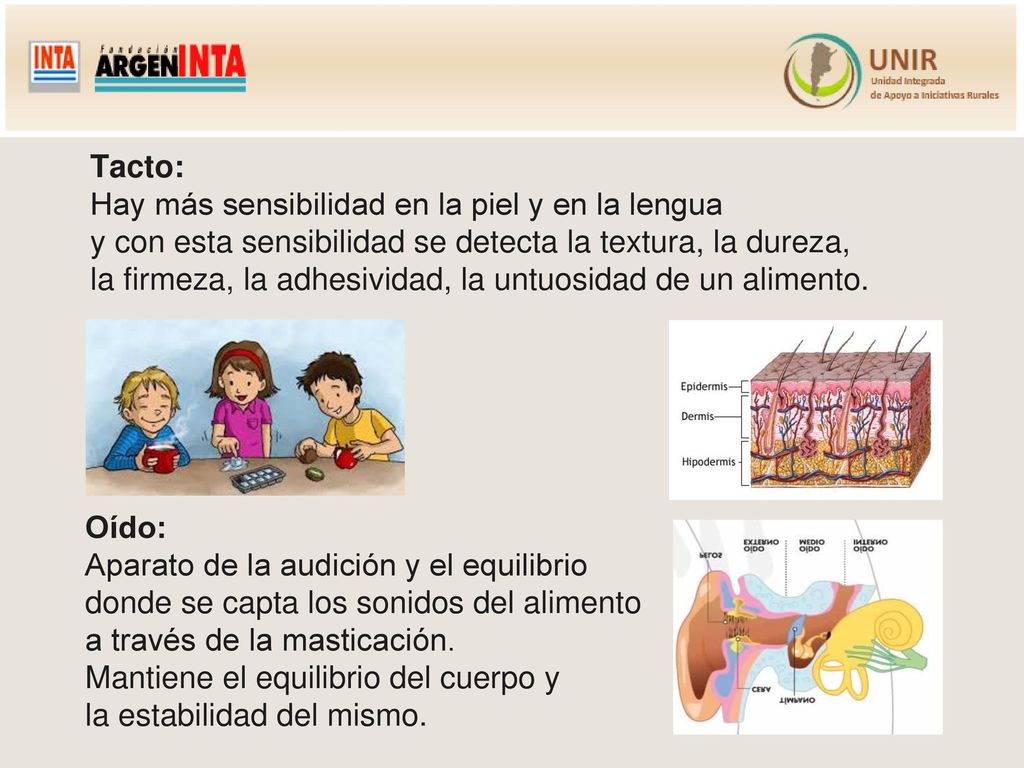 Tacto: Hay más sensibilidad en la piel y en la lengua y con esta sensibilidad se detecta la textura, la dureza, la firmeza, la adhesividad, la untuosidad de un alimento.
