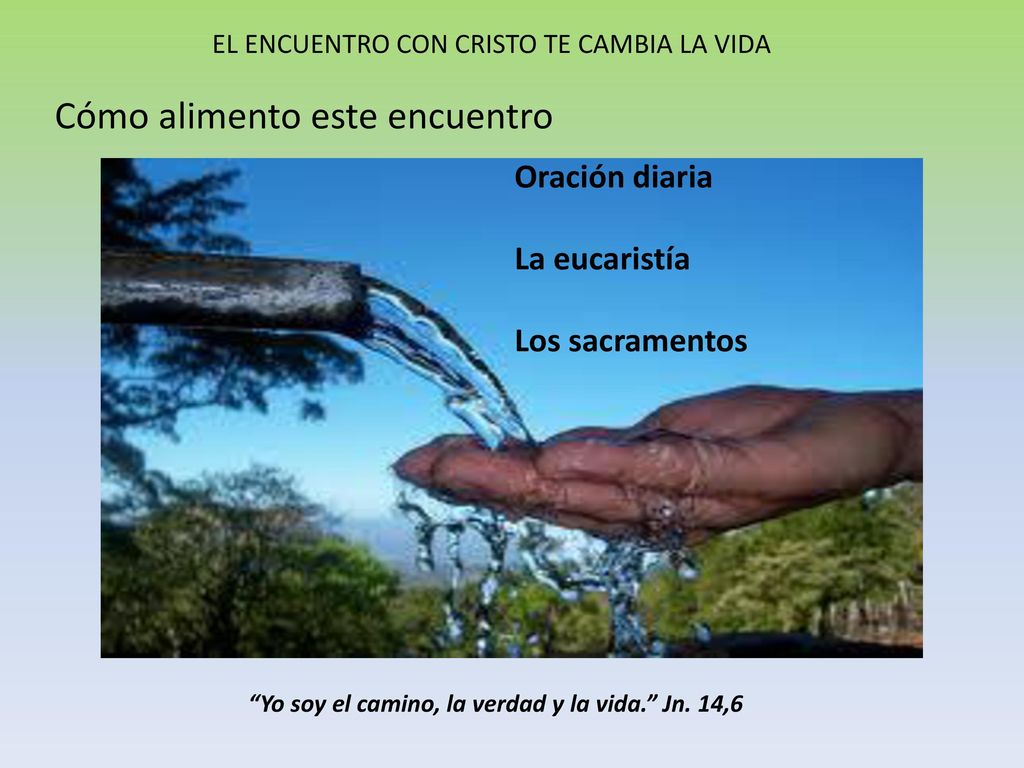 Yo soy el camino, la verdad y la vida. Jn. 14,6