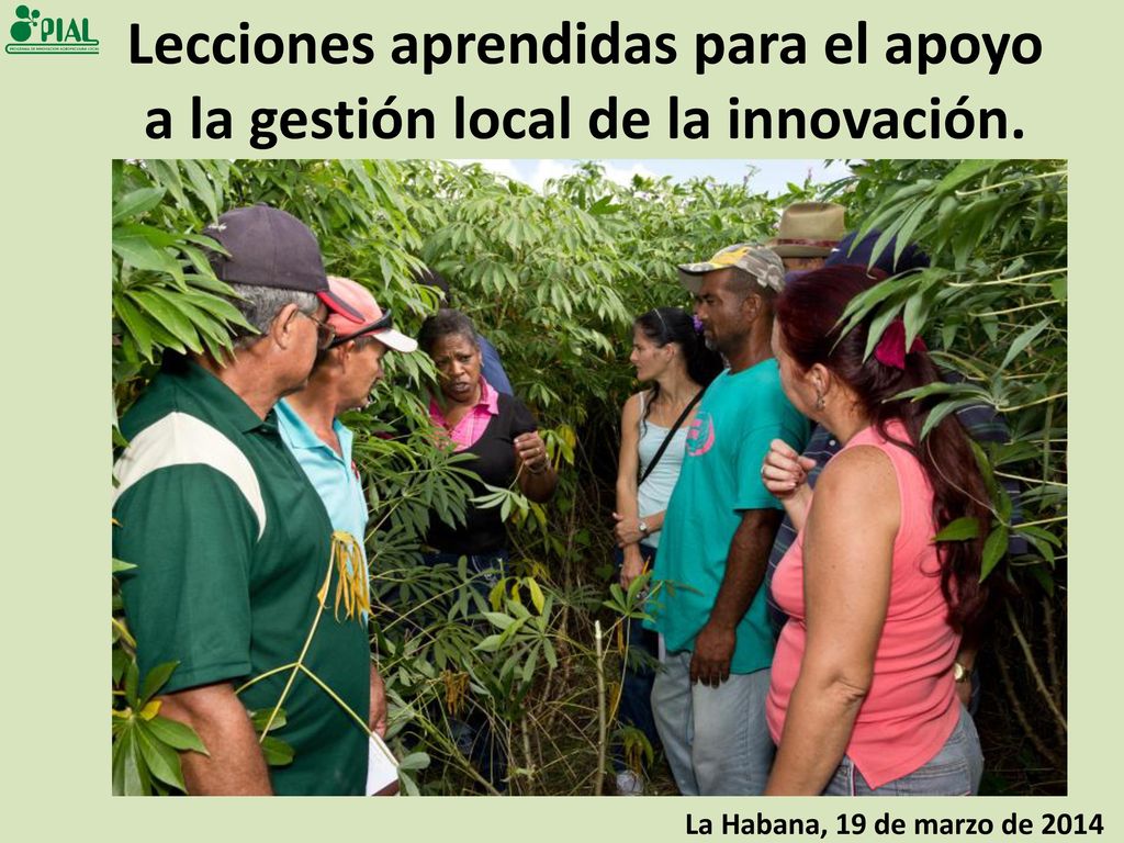 Lecciones aprendidas para el apoyo a la gestión local de la innovación.