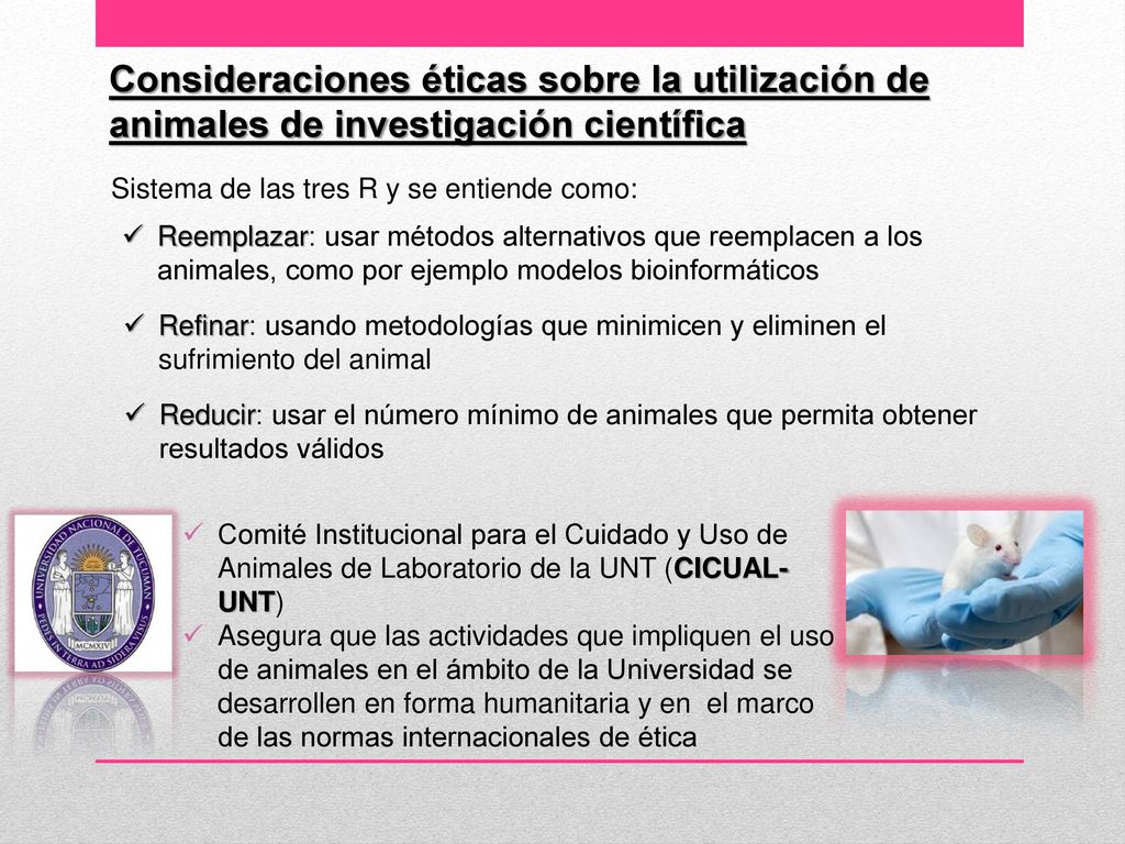 Consideraciones éticas sobre la utilización de animales de investigación científica