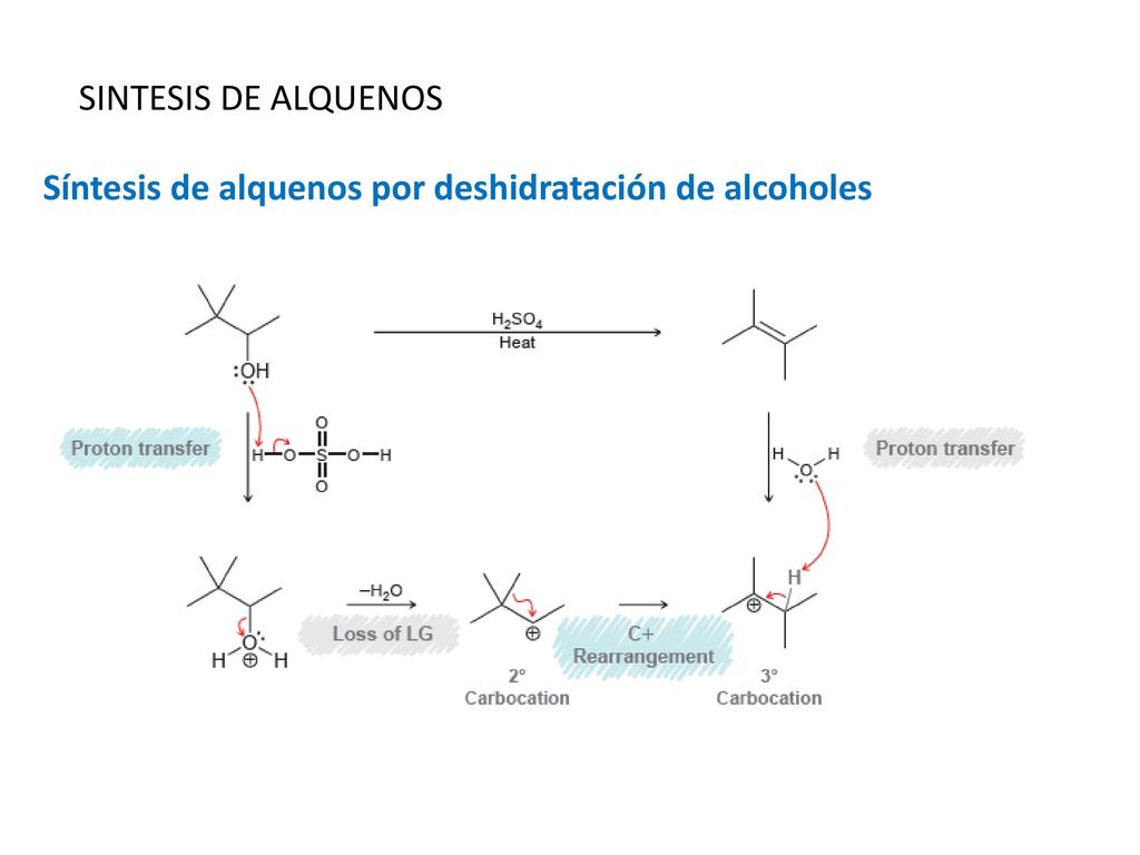 SINTESIS DE ALQUENOS Síntesis de alquenos por deshidratación de alcoholes
