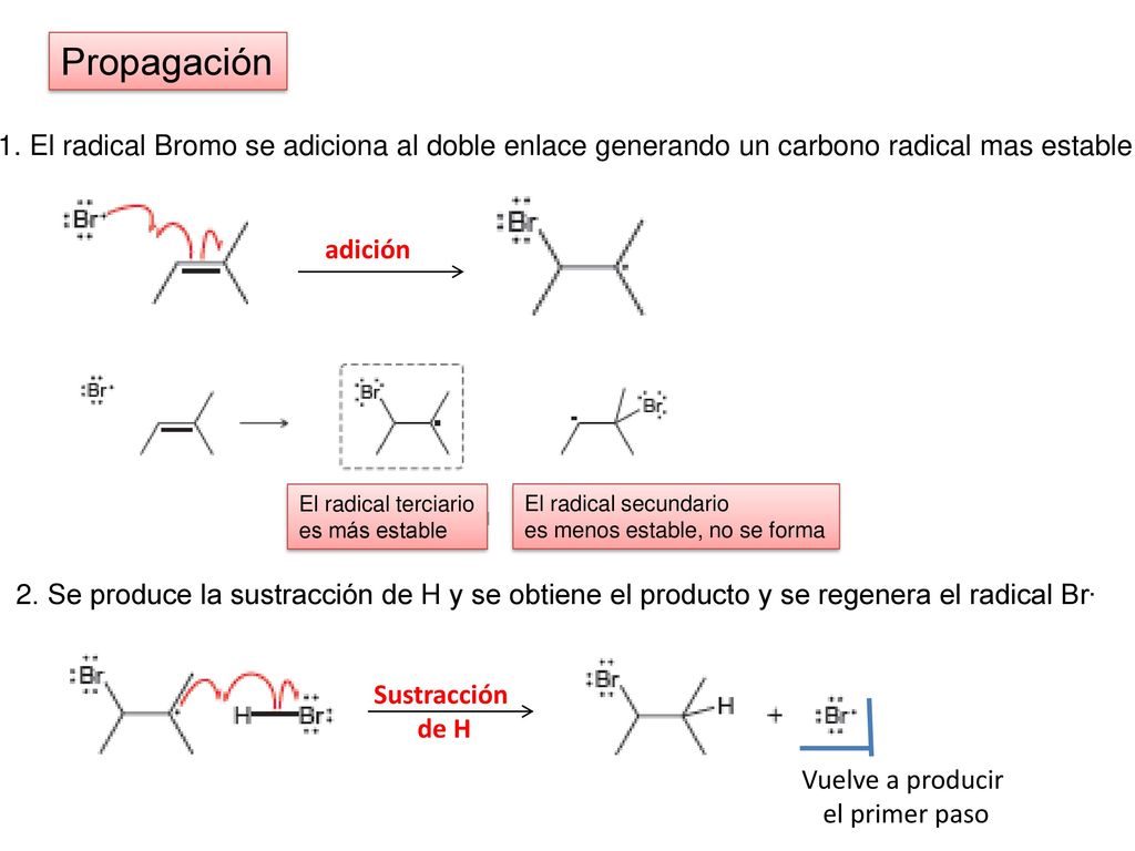 Propagación 1. El radical Bromo se adiciona al doble enlace generando un carbono radical mas estable.