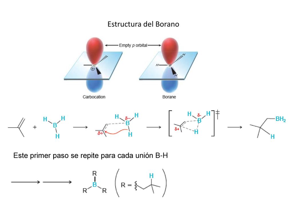 Estructura del Borano Este primer paso se repite para cada unión B-H