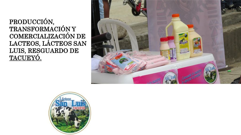 PRODUCCIÓN, TRANSFORMACIÓN Y COMERCIALIZACIÓN DE LACTEOS, LÁCTEOS SAN LUIS, RESGUARDO DE TACUEYÓ.