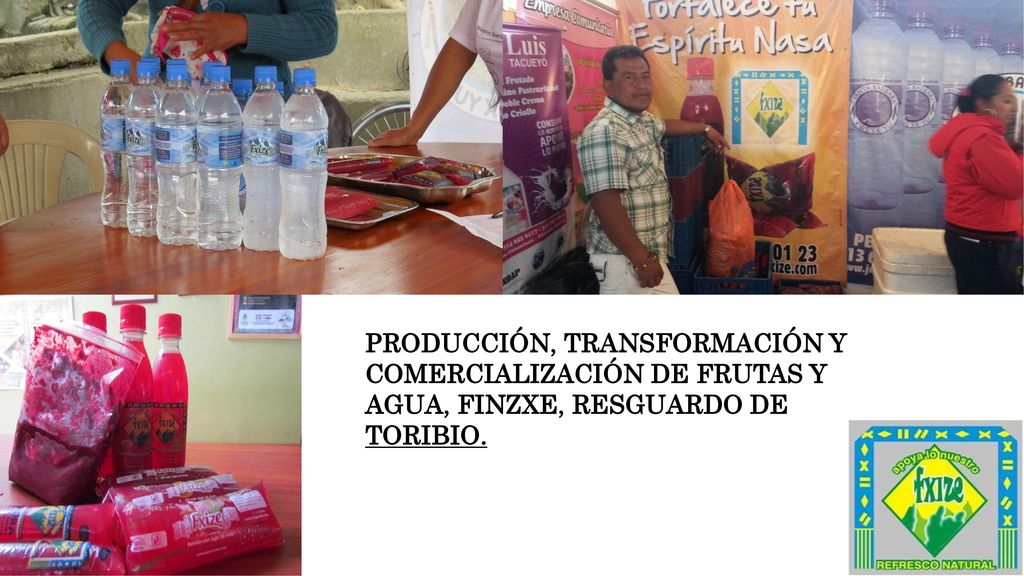 PRODUCCIÓN, TRANSFORMACIÓN Y COMERCIALIZACIÓN DE FRUTAS Y AGUA, FINZXE, RESGUARDO DE TORIBIO.
