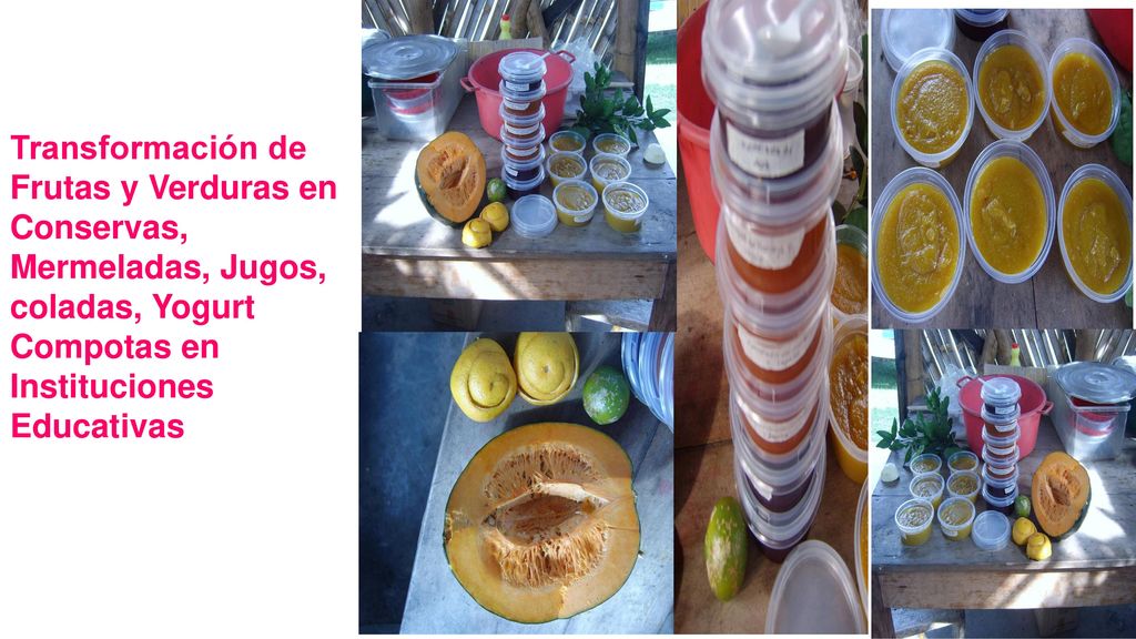 Transformación de Frutas y Verduras en Conservas, Mermeladas, Jugos, coladas, Yogurt Compotas en Instituciones Educativas