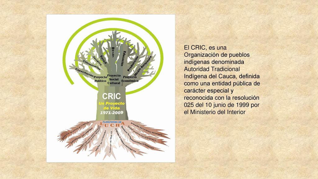 El CRIC, es una Organización de pueblos indígenas denominada Autoridad Tradicional Indígena del Cauca, definida como una entidad pública de carácter especial y reconocida con la resolución 025 del 10 junio de 1999 por el Ministerio del Interior
