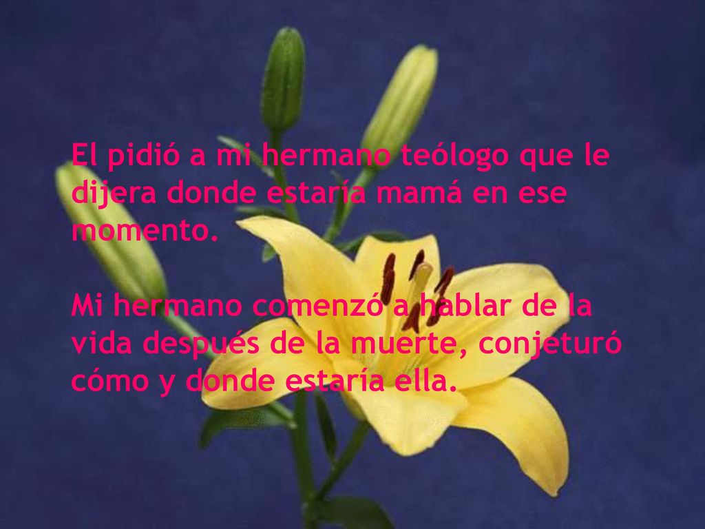 El pidió a mi hermano teólogo que le dijera donde estaría mamá en ese momento.