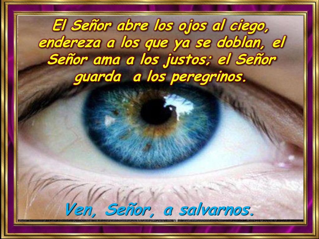 El Señor abre los ojos al ciego, endereza a los que ya se doblan, el Señor ama a los justos; el Señor guarda a los peregrinos.
