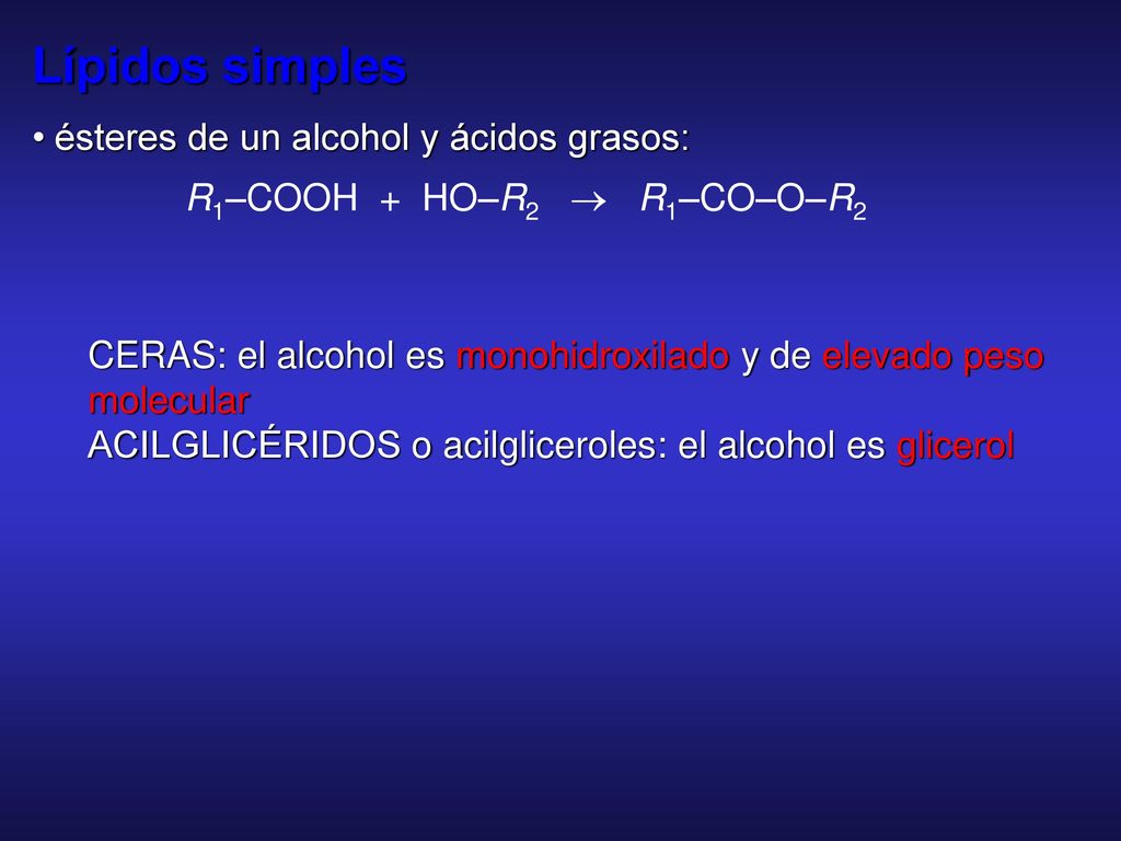 Lípidos simples • ésteres de un alcohol y ácidos grasos: