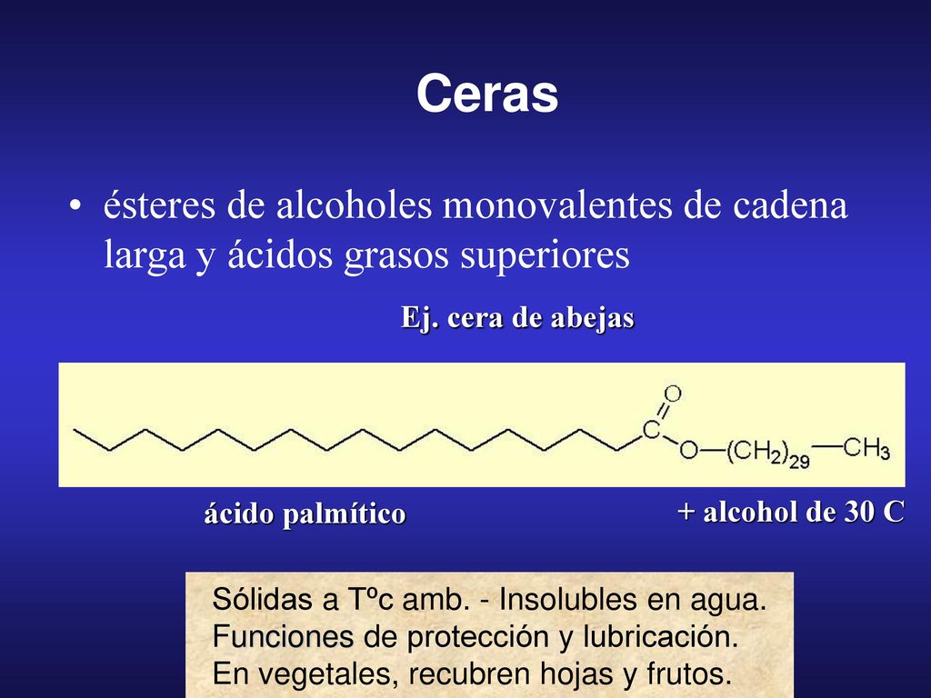 Ceras ésteres de alcoholes monovalentes de cadena larga y ácidos grasos superiores. Ej. cera de abejas.