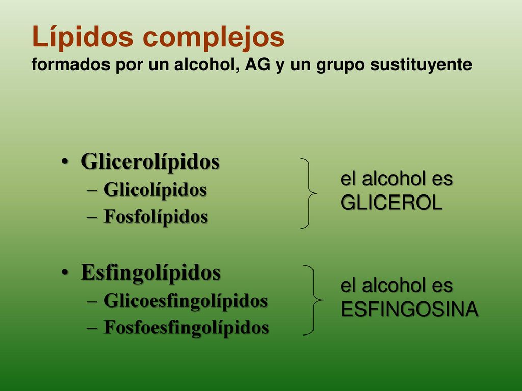 Lípidos complejos formados por un alcohol, AG y un grupo sustituyente