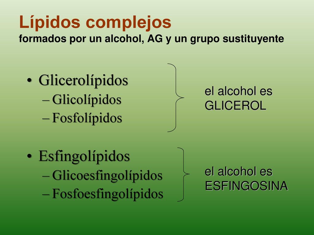 Lípidos complejos formados por un alcohol, AG y un grupo sustituyente