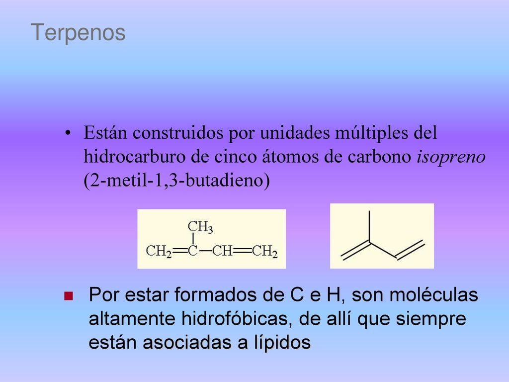Terpenos Están construidos por unidades múltiples del hidrocarburo de cinco átomos de carbono isopreno (2-metil-1,3-butadieno)