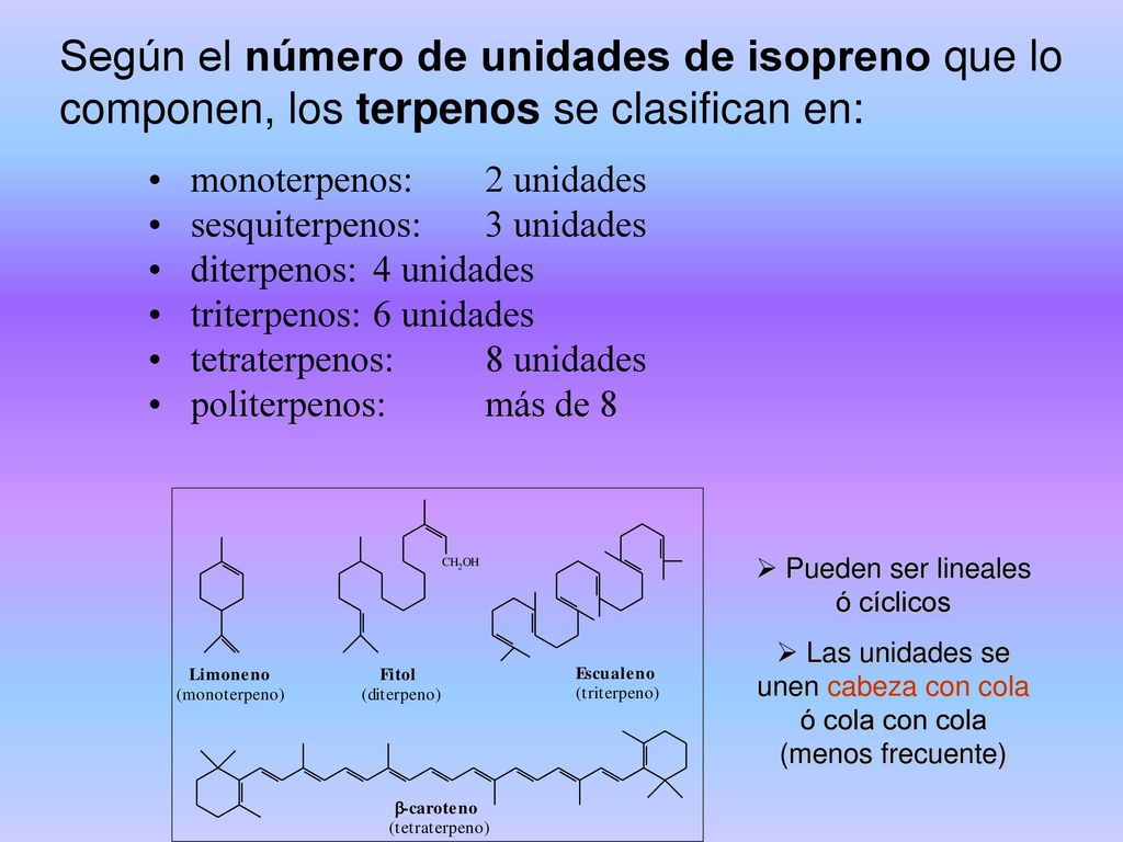 Según el número de unidades de isopreno que lo componen, los terpenos se clasifican en: