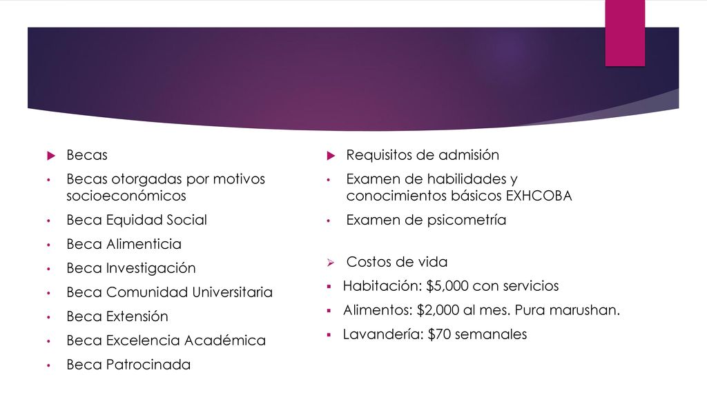 Becas Becas otorgadas por motivos socioeconómicos. Beca Equidad Social. Beca Alimenticia. Beca Investigación.