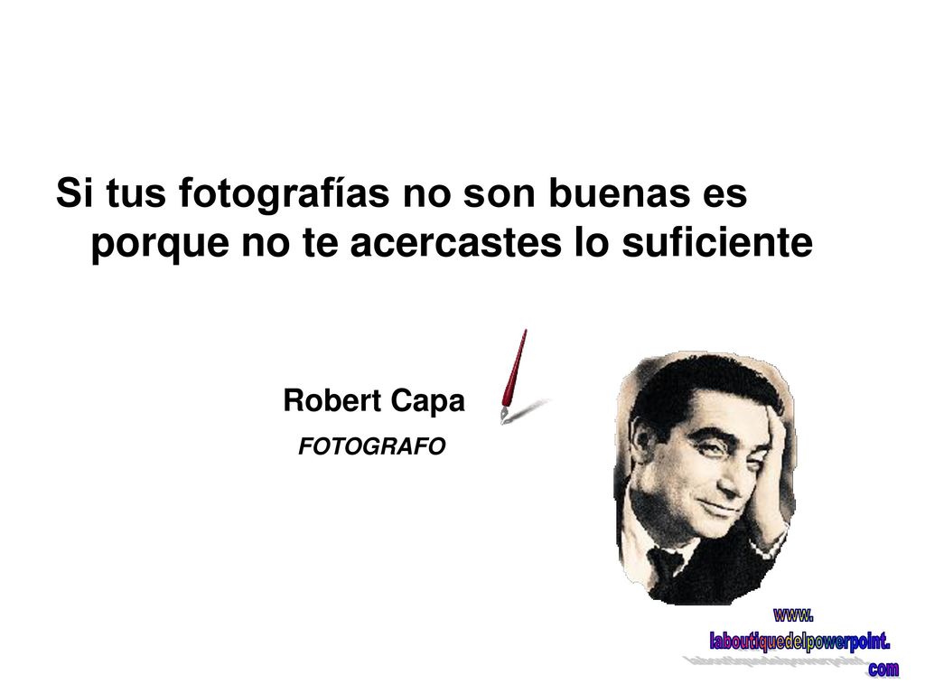 Si tus fotografías no son buenas es porque no te acercastes lo suficiente