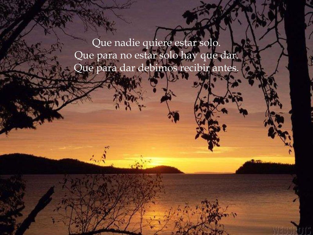 Que nadie quiere estar solo. Que para no estar solo hay que dar.