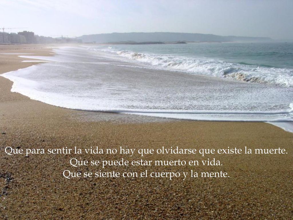 Que para sentir la vida no hay que olvidarse que existe la muerte.