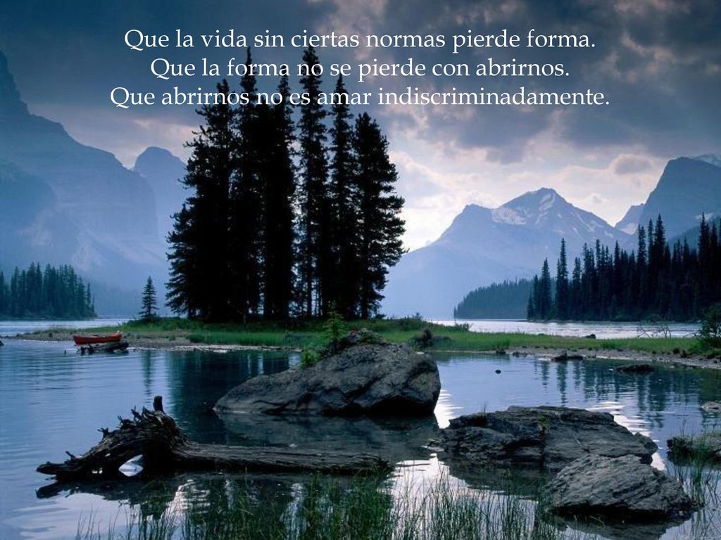 Que la vida sin ciertas normas pierde forma.