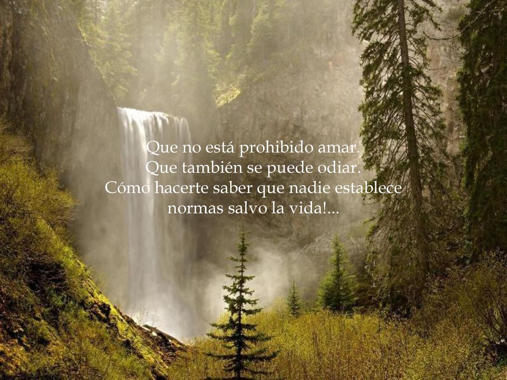Que no está prohibido amar. Que también se puede odiar.