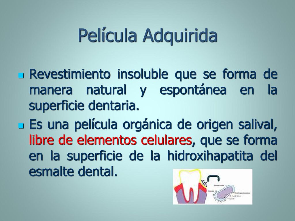 Película Adquirida Revestimiento insoluble que se forma de manera natural y espontánea en la superficie dentaria.