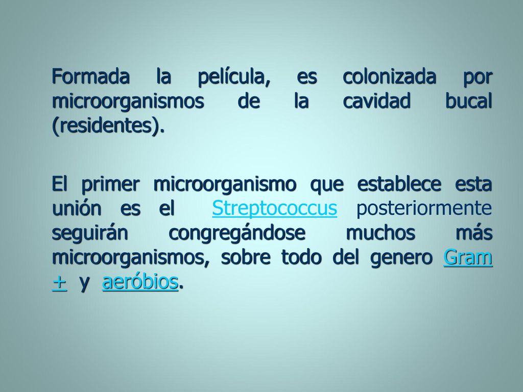 Formada la película, es colonizada por microorganismos de la cavidad bucal (residentes).