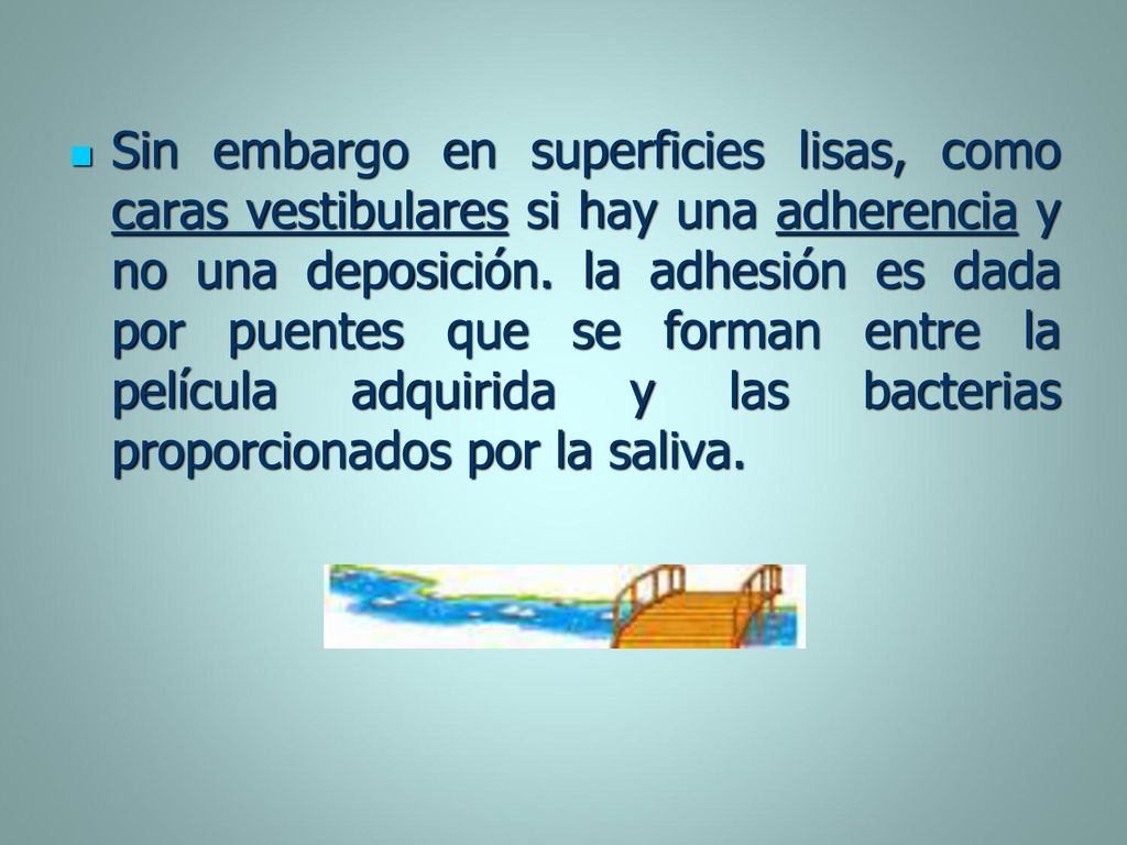 Sin embargo en superficies lisas, como caras vestibulares si hay una adherencia y no una deposición.