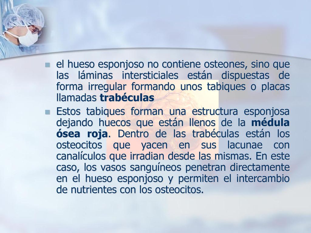 el hueso esponjoso no contiene osteones, sino que las láminas intersticiales están dispuestas de forma irregular formando unos tabiques o placas llamadas trabéculas