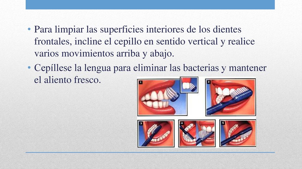 Para limpiar las superficies interiores de los dientes frontales, incline el cepillo en sentido vertical y realice varios movimientos arriba y abajo.