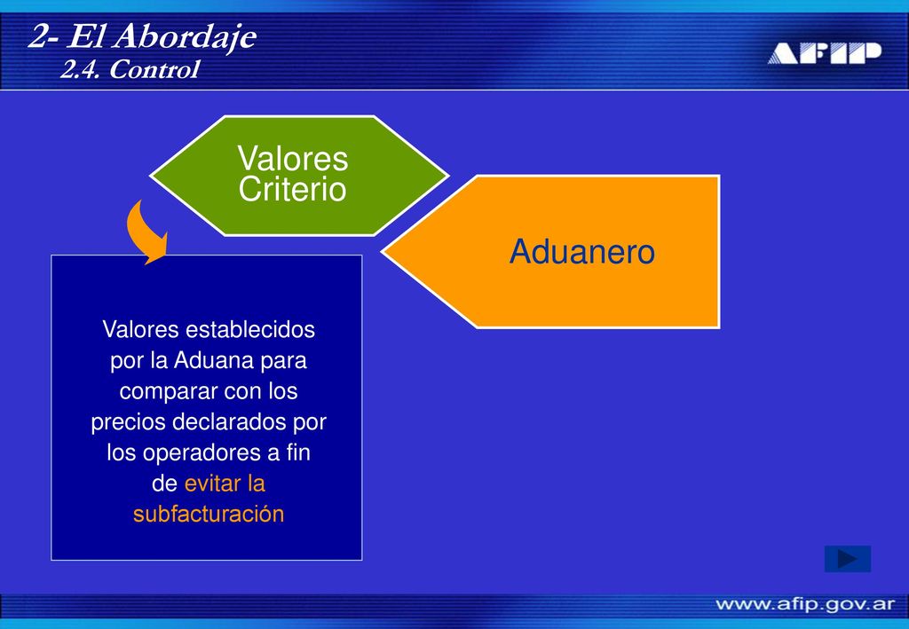 2- El Abordaje Valores Criterio Aduanero 2.4. Control