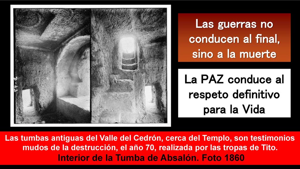 Las guerras no conducen al final, sino a la muerte