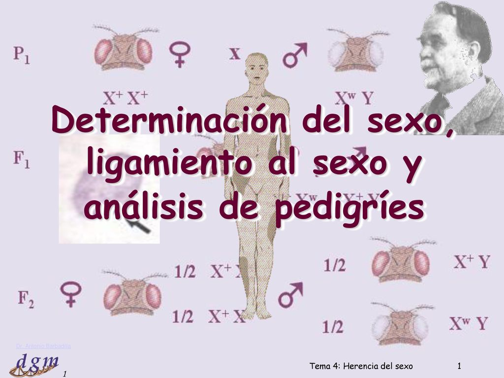 Determinación del sexo, ligamiento al sexo y análisis de pedigríes