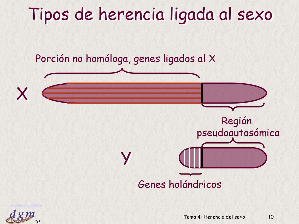 Tipos de herencia ligada al sexo