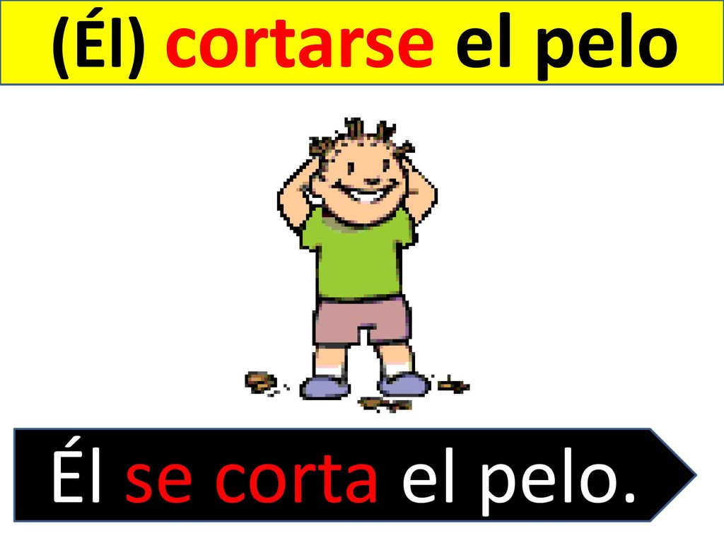 (Él) cortarse el pelo Él se corta el pelo.