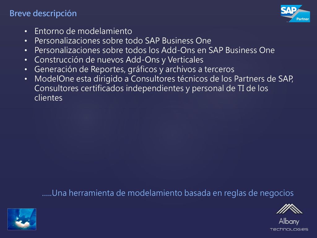 Breve descripción Entorno de modelamiento. Personalizaciones sobre todo SAP Business One.