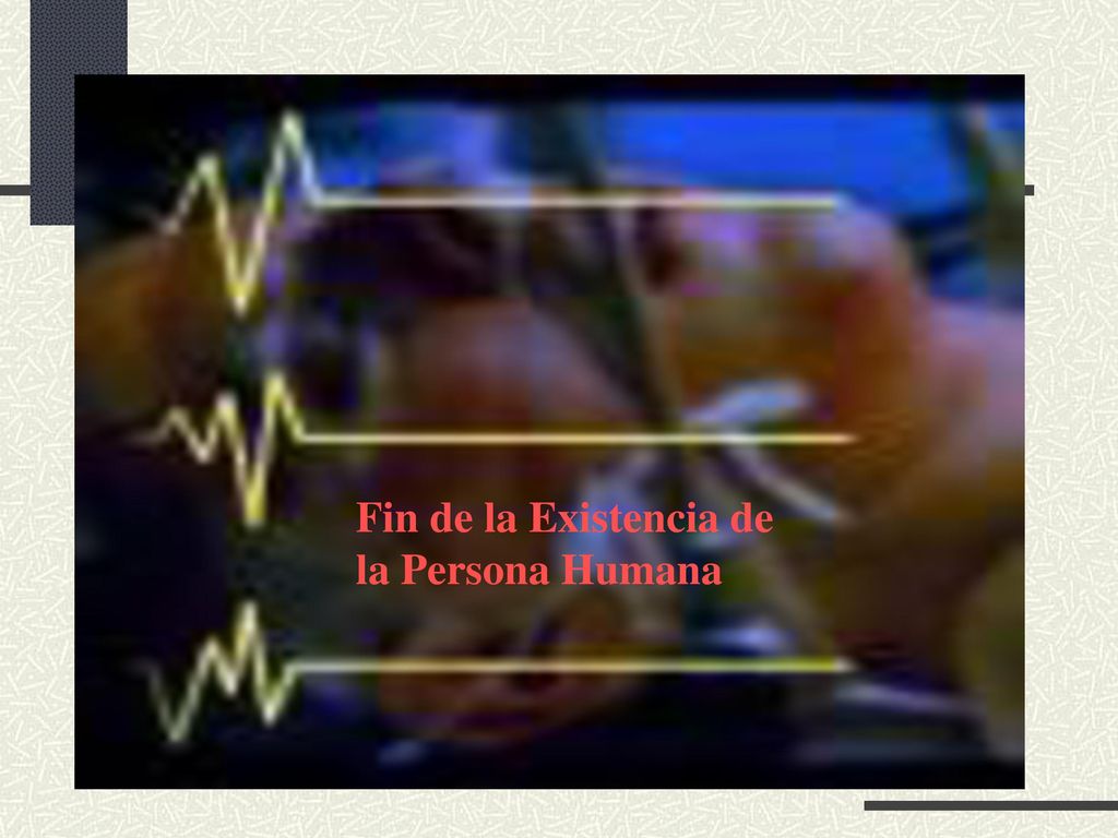 Persona Humana Fin de la Existencia de la Persona Humana